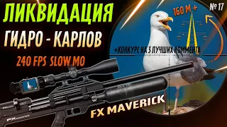 Elimination of Seagulls with an air rifle FX Maverick Sniper - 200 yards