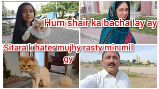 Hum shair ka bacha lay ay/sitara k hater mujhy rasty min mil gy/mustafa sajid vlogs