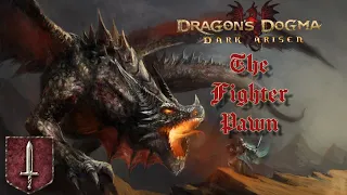 Dragon's Dogma Dark Arisen: ULTIMATE Fighter Pawn Guide