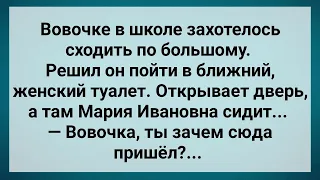 Вовочка Пошел в Женский Туалет! Сборник Свежих Анекдотов! Юмор!