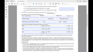 I-134 Affidavit of Support (Joint Sponsor) K-1 Visa