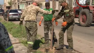 БЕРДЯНСК 2018 ОЗЕЛЕНЕНИЕ 2018 05 02