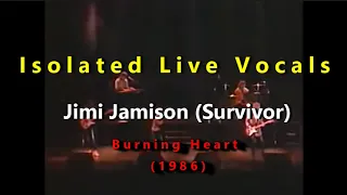 Jimi Jamison (Survivor) Burning Heart - Isolated Live Vocals (1986 )