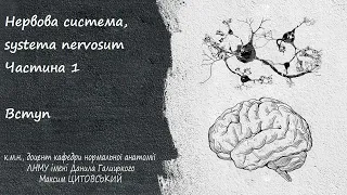 Нервова система, systema nervosum. Вступ. Частина 1