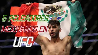 6 Peleadores Mexicanos En UFC