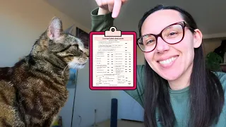 Use my cheat sheet to find the best cat food