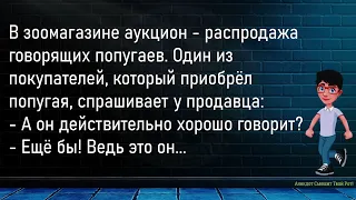 💎Блондинка Набрала Номер...Сборник Новых Анекдотов,Для Супер Настроения!