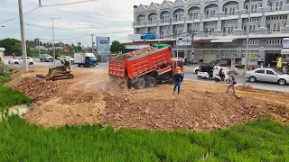 Good Job Started Project Dump Truck 5T,24T,Pouring Soil Into Field Land Bulldozer  KOMATSU D20P