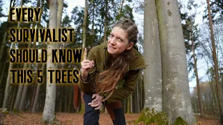 🌲 Every survivalist should know these 5 trees! 🌳🦊Survival knowledge simply explained👌