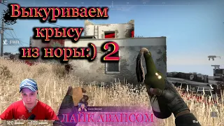 Counter-Strike: Global Offensive Запретная зона [Напарник - elasticbear81 ] Danger Zone