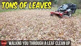 How To Do A Fall Leaf Clean Up - $145 In 1.5 Hours, Bagging Leaves | Simple Basic Clean Up