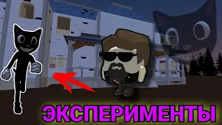 🤔 ЭКСПЕРИМЕНТЫ  НАД КАРТУН КЭТОМ В ЧИКЕН ГАН!