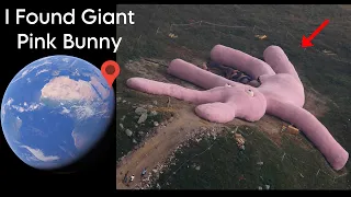 I Found Giant Pink Bunny On Google Earth 🌍