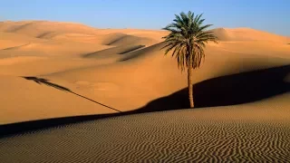 "Царица пустыни"- Слайд-фильм для детей и подростков/ МСЦ ЕХБ / слушать онлайн