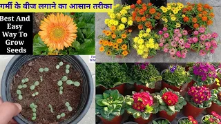 गर्मी के Flower बीज लगाने का सही तरीका || How To grow summer seeds in india