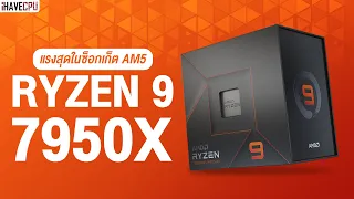 แรงสุดในซ็อกเกต AM5 รีวิว AMD RYZEN 9 7950X | iHAVECPU