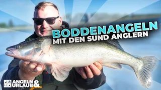 Bodden-Angeln mit den Sund Anglern: Auf Hecht, Zander und Barsch vor Rügen im Flachwasser