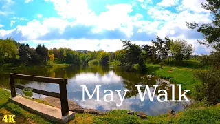 Sunny May Walk | 4K | ASMR | Nature Hike | Pure Sounds Of Walk | Forest Trail | Slow TV | Spring