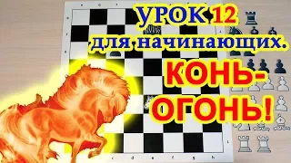 Шахматы для начинающих 12 |  Как играть конями!