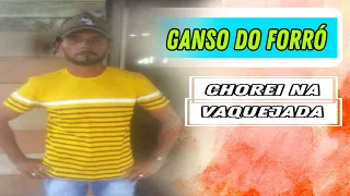 Ganso do Forró  - Chorei Na Vaquejada