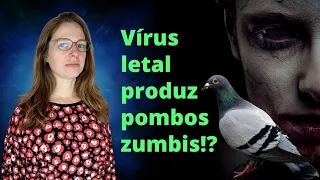 Vírus letal em pombos virando zumbis no Reino Unido