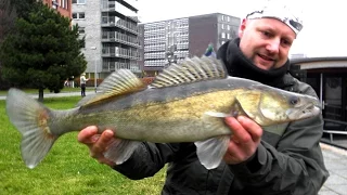 Matze Koch: Streetfishing, Teil 1 - Matzes Mätzchen 10-2012