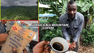 JAMAICAN'S BLU MOUNTAIN COFFEE !! THE MOST EXPENSIVE COFFEE IN THE WORLD !! SOO SMOOTH