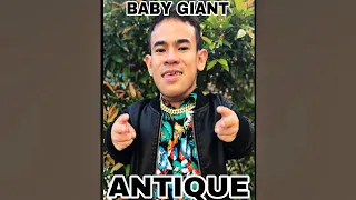 Omuwi si baby giant sa antique, Dinomog ng Tao