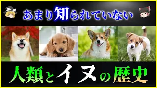 【ゆっくり解説】数万年に渡る関係！「イヌ」と人間の関係の歴史を解説/犬と狼の違いは？天然記念物の日本犬とは？