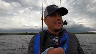 Cobia madness in Matlacha, PB COBIA, fishing in Matlacha, Florida. Kayak Charters. Windy and storms.