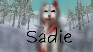 Sadie - A wildcraft horror story - 900 sub special - #wildcraft
