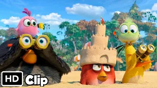 Opening Scene Hindi Angry Bird 2 Hindi HD  4K BlueRay Clip