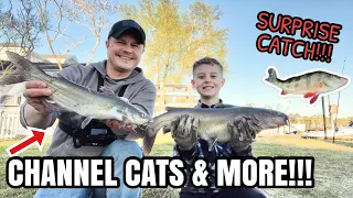 BIG Catfish, Perch, & SURPRISE CATCH!!! - Fishing Brackish Water in North Carolina