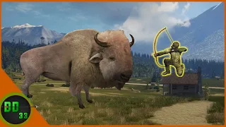Rare Bison from the ROOF TOP!! Call Of The Wild