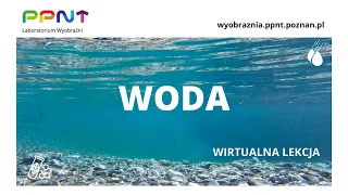 Warunki życia w wodzie - wirtualna lekcja #2