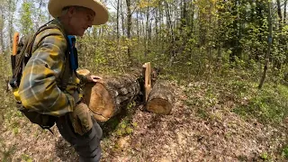 Hiking the PWC's Segment 28 of the North Country Trail