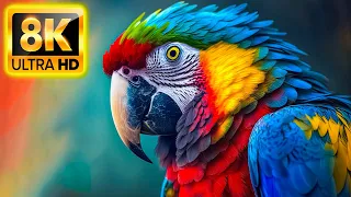 COLORFUL ANIMALS 8K HDR 60FPS Dolby Vision - With Nature Sounds (Colorfully Dynamic)