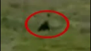 The Great North Bigfoot Footage