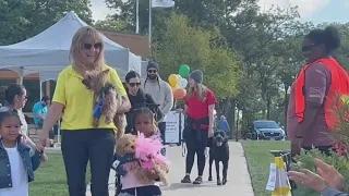 5th annual Pooch Parade in Aurora kicks off Sunday