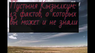 Пустыня Кызылкум Красные пески 13 фактов и НЛО