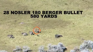 Barbour creek long range Hunting school - Berger bullet performance