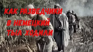 Фронтовые разведчики ВОВ в немецком тылу. # Рассказ о фронтовых  разведчиках ВОВ@VoyennyyeMemuary