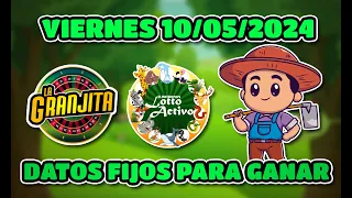 ✅ DATOS DE LOTTO ACTIVO Y LA GRANJITA PARA HOY 10/05/2024  - Tus Datos Fijos 🎯