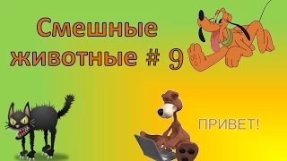 Смешные животные#9