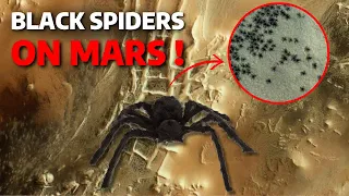 Giant Black Spiders detected densely on Mars - Around Us