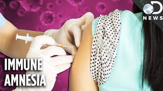How The Measles Vaccine Protects You From Other Deadly Diseases