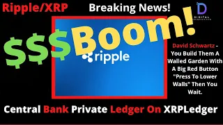 Ripple/XRP-Ripple Drops Massive Bombshell-Central Banks Are Using A Private Ledger On XRP Ledger