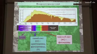 Константинова С.В. - Физиология и биохимия растений - 15. Фоторецепция