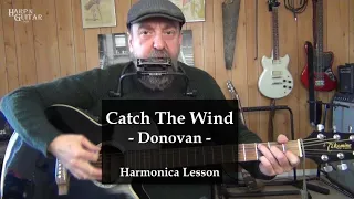 Donovan Catch The Wind Harmonica Lesson with Harp N Guitar's George Goodman