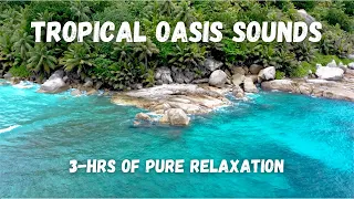 Tropical Beach w Background Music | OCEAN WAVES | Relax, Unwind & Escape